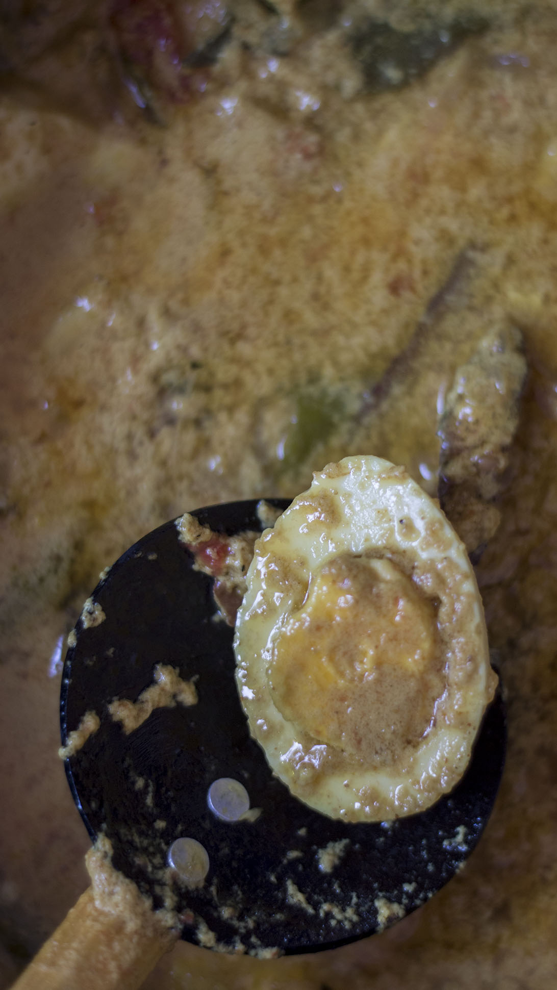 Close up view of Egg Curry